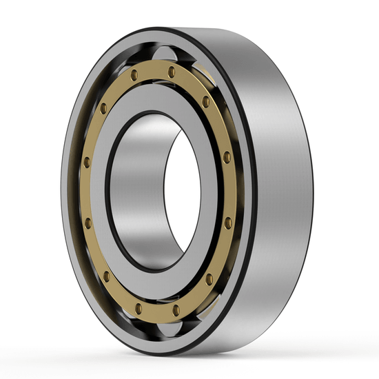 N316 ECM SKF - Zylinderrollenlager with white background