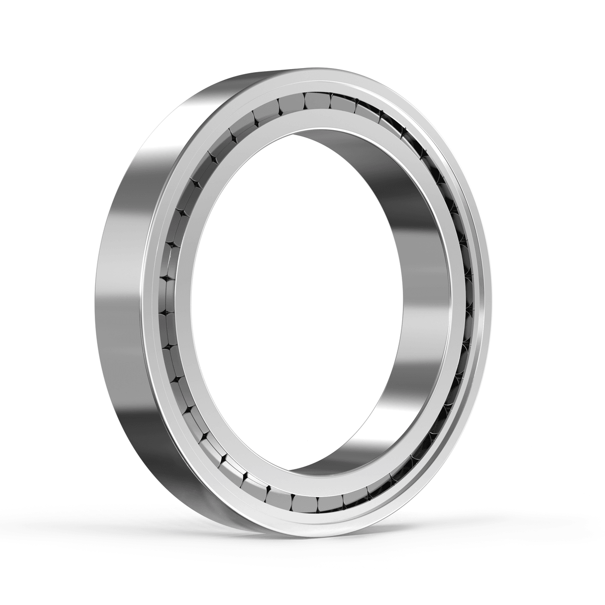 SL181856 INA - Zylinderrollenlager with white background